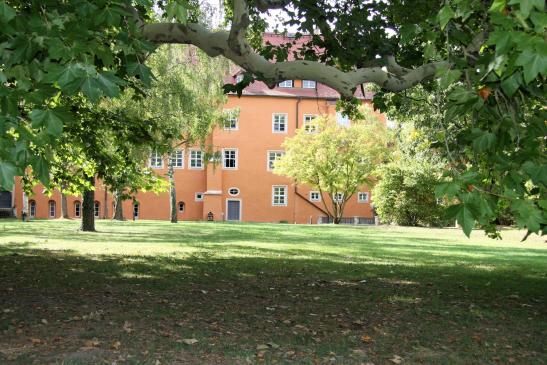 Unter der Platane - Blick Richtung Fürstenhaus