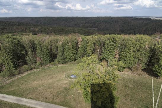 Blick vom Aussichtsturm auf Fundort