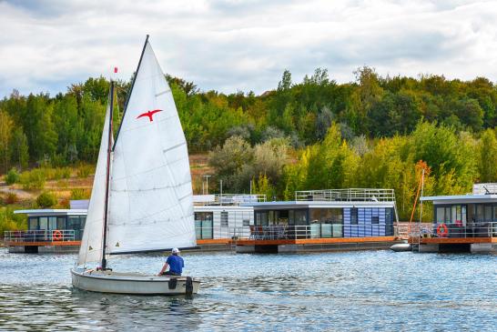 Hausboot Treibholz - mit Segelboot