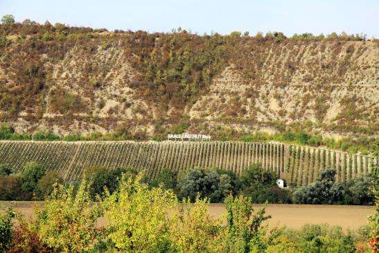 Vom Köppelberg (Schulpforta) über die Saale