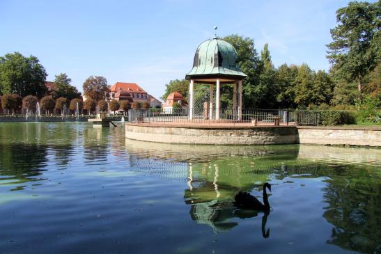 Kurparkteich mit Pavillion und schwarzen Schwan