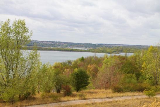 Blick vom Südostufer auf den See über die Halbinsel nach Mücheln